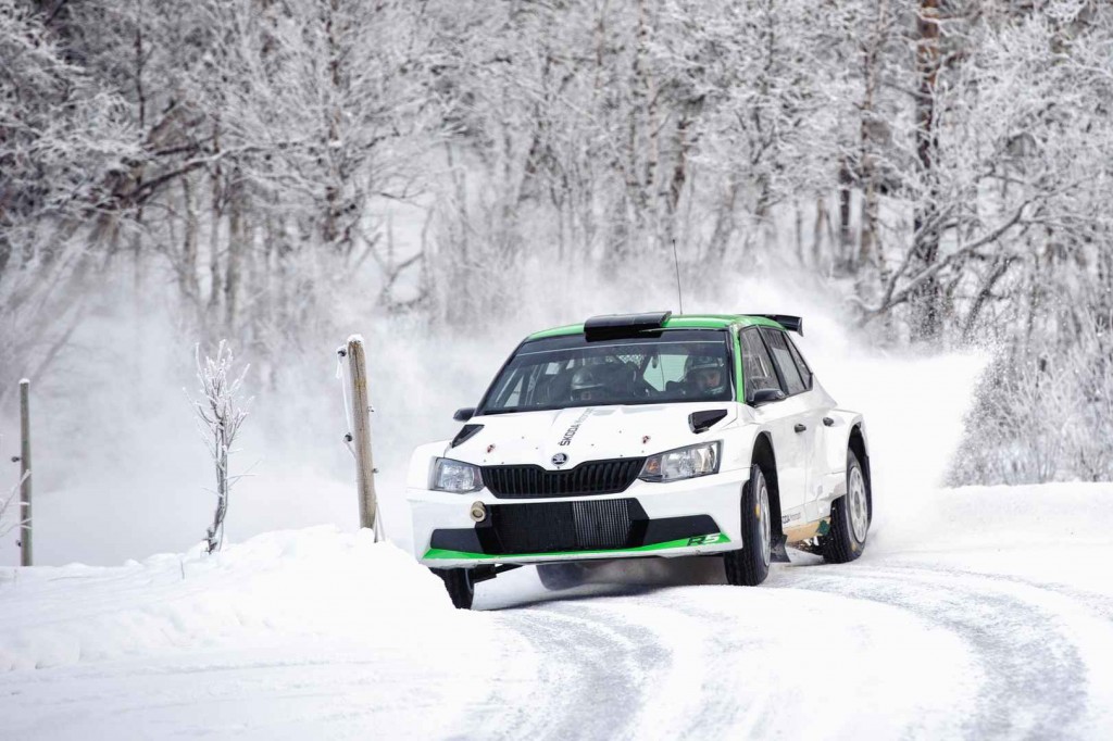 Lappi-DSC_2644-Edit-2