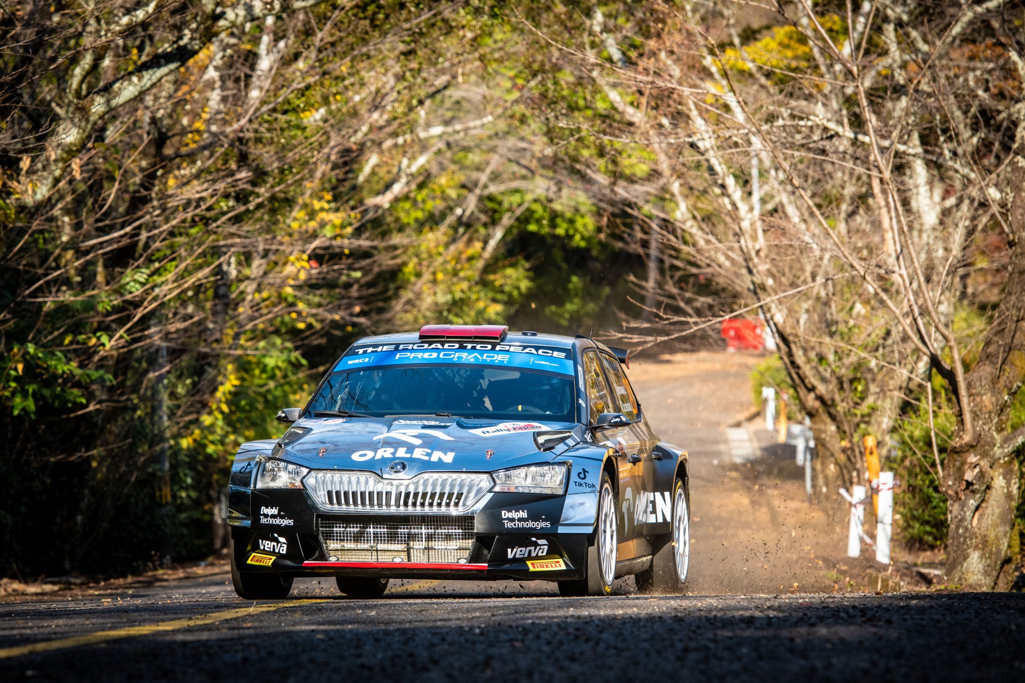 Fabulous Japanese final | Rally Japan - Škoda Motorsport