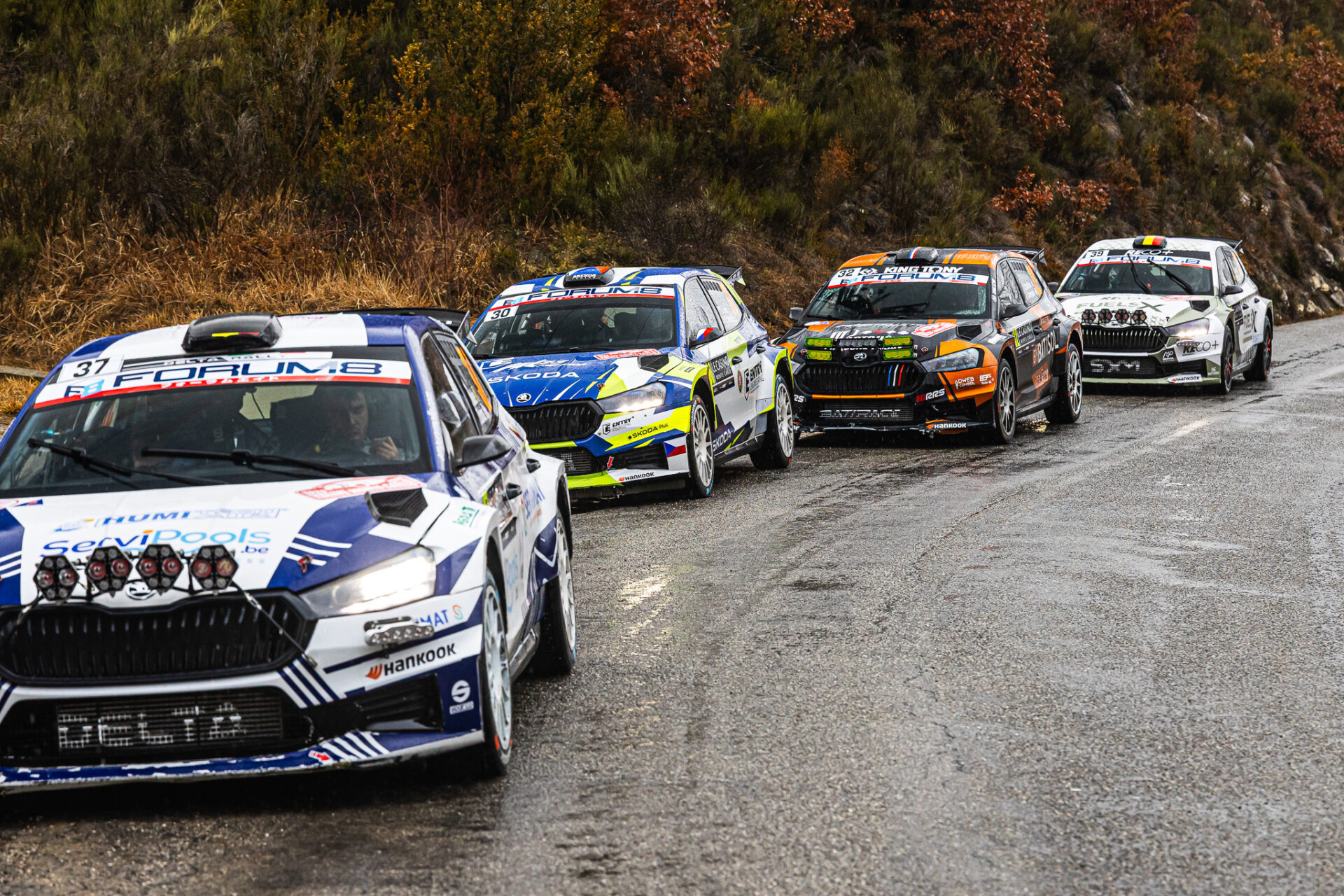 Zákaznický program