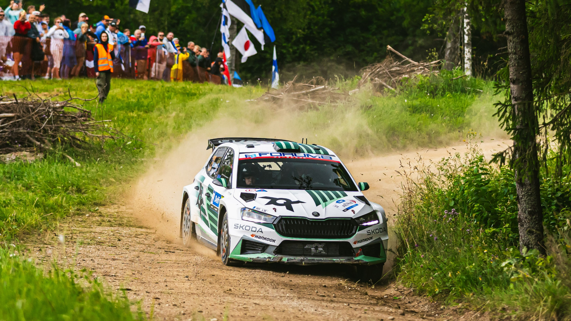 Řada mistrovských titulů: posádky s vozy Škoda Fabia RS Rally2 vyhrály v&nbsp;mistrovstvích světa i&nbsp;Evropy, stejně jako v mnoha národních šampionátech